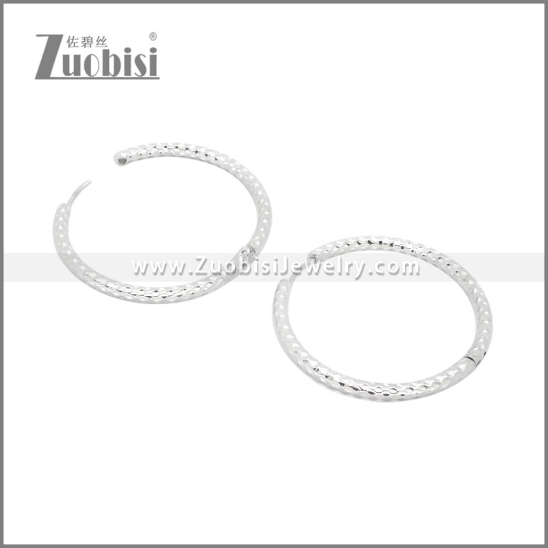 Stainless Steel Earrings e002386S