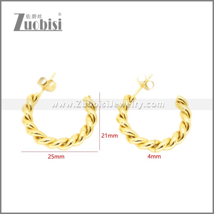 Stainless Steel Earrings e002373G