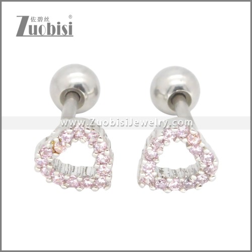 Stainless Steel Earrings e002396R
