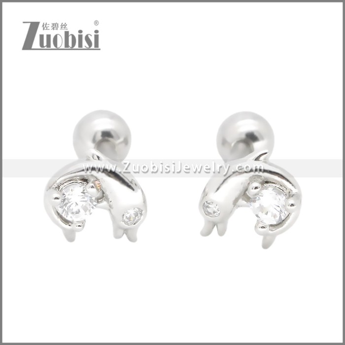 Stainless Steel Earrings e002402