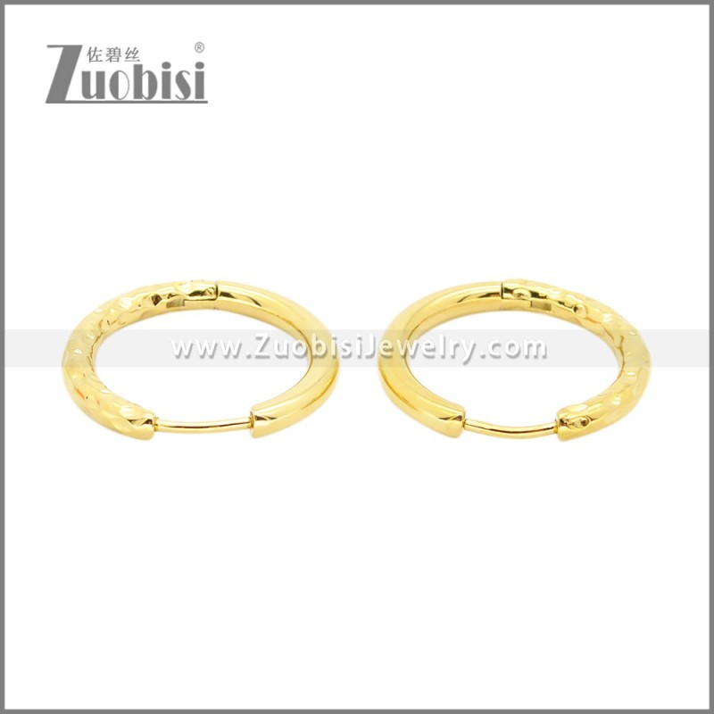 Stainless Steel Earrings e002378G