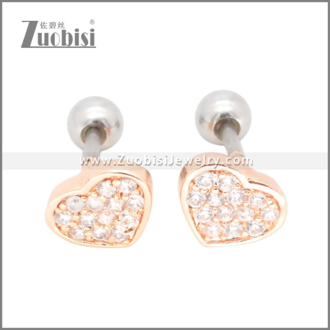 Stainless Steel Earrings e002398A