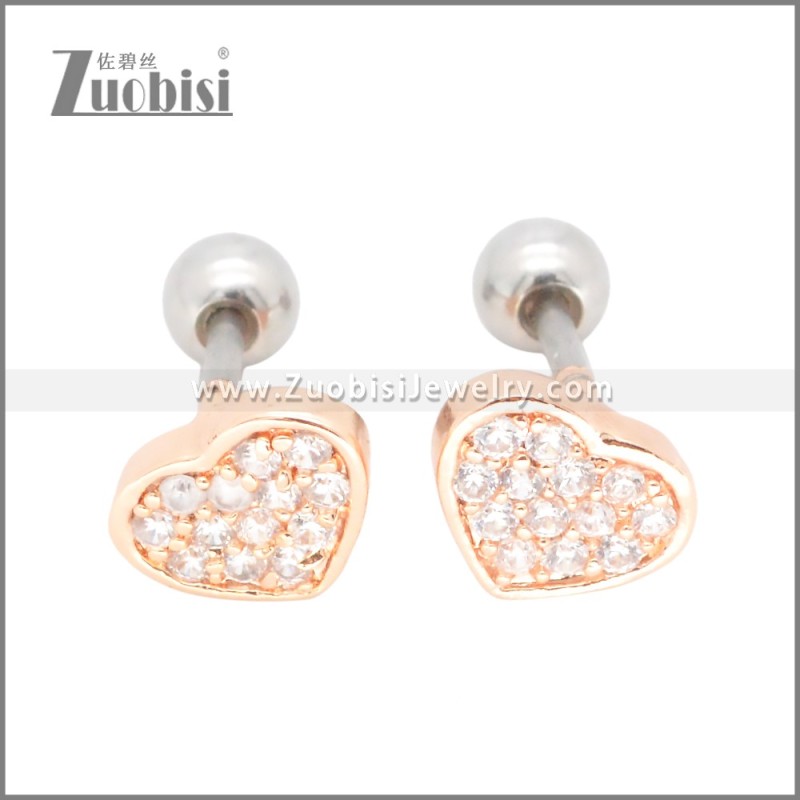 Stainless Steel Earrings e002398A