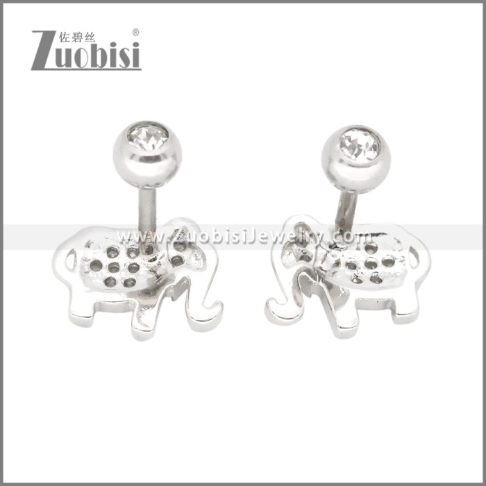 Stainless Steel Earrings e002400S