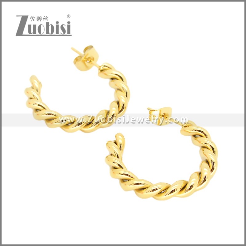 Stainless Steel Earrings e002373G