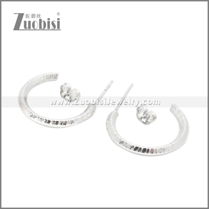 Stainless Steel Earrings e002382S