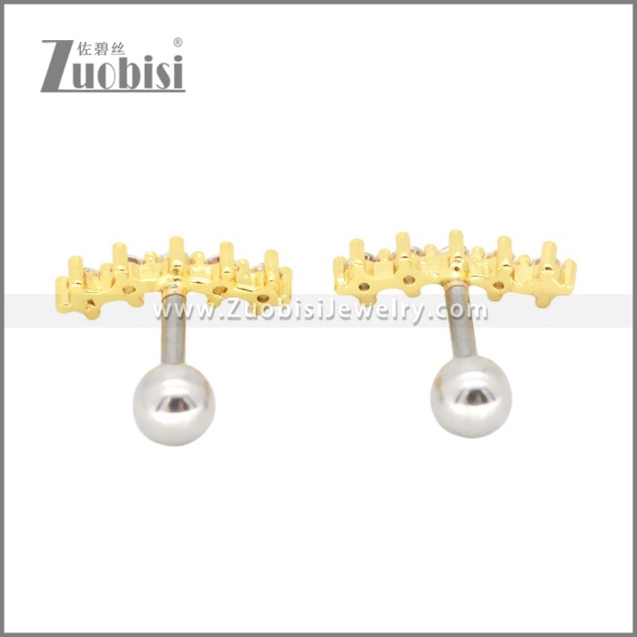 Stainless Steel Earrings e002409G