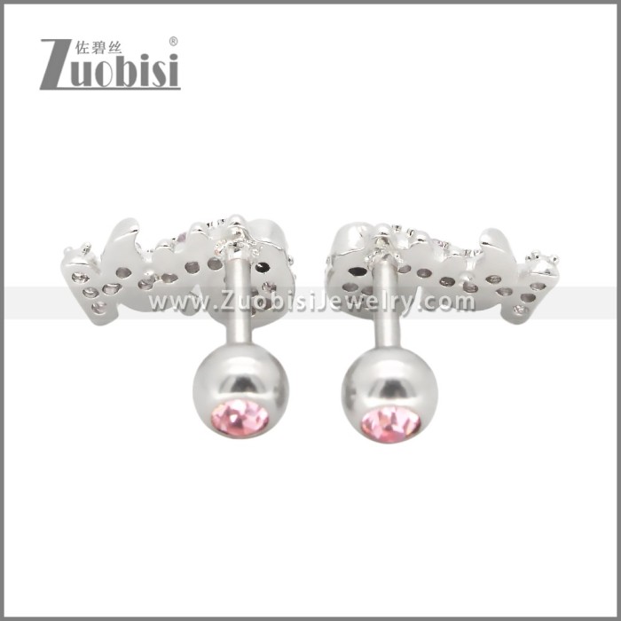 Stainless Steel Earrings e002408R