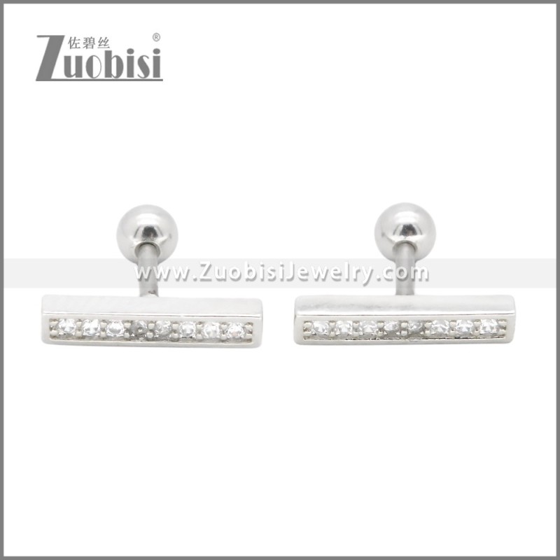 Stainless Steel Earrings e002401S