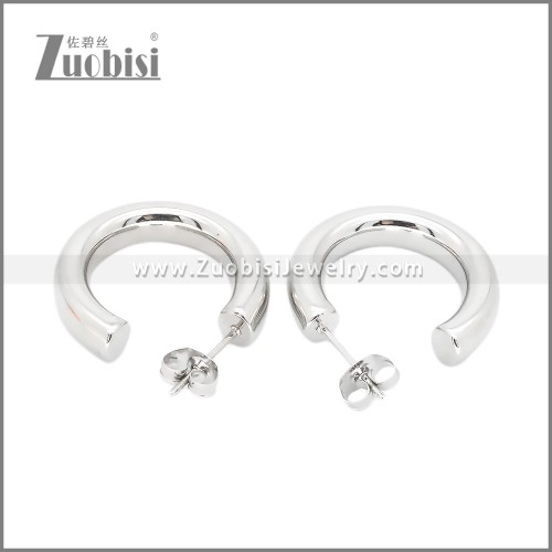 Stainless Steel Earrings e002380