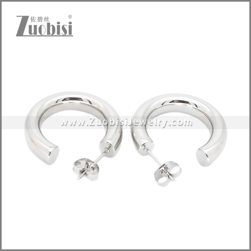 Stainless Steel Earrings e002380