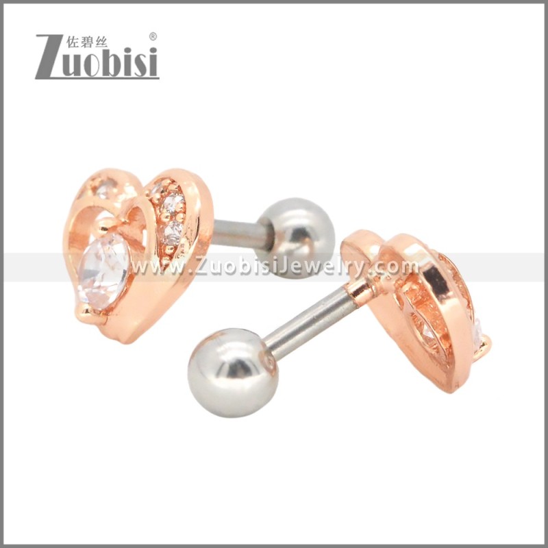 Stainless Steel Earrings e002406A