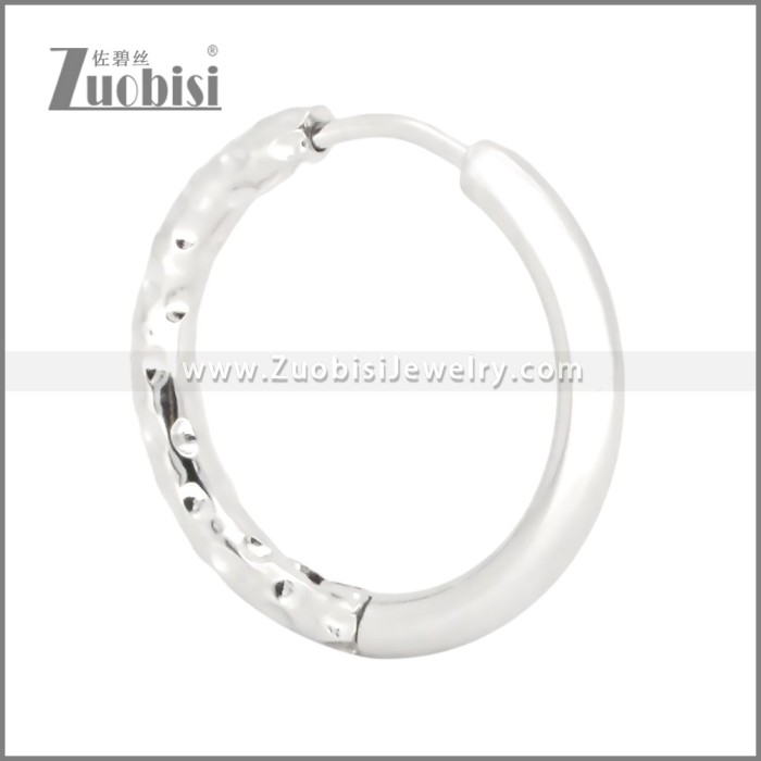 Stainless Steel Earrings e002378S