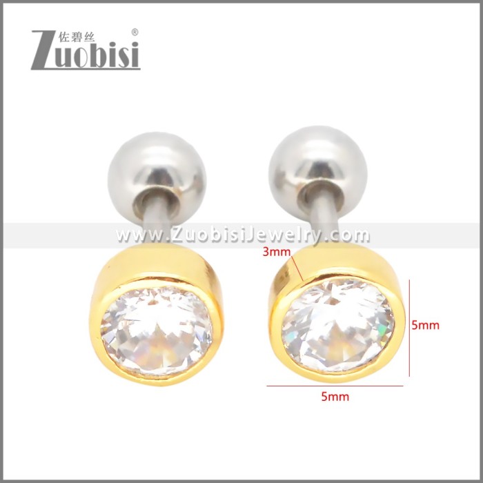 Stainless Steel Earrings e002399G