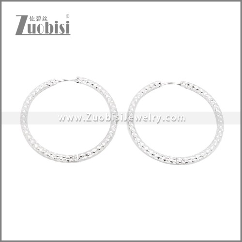 Stainless Steel Earrings e002386S