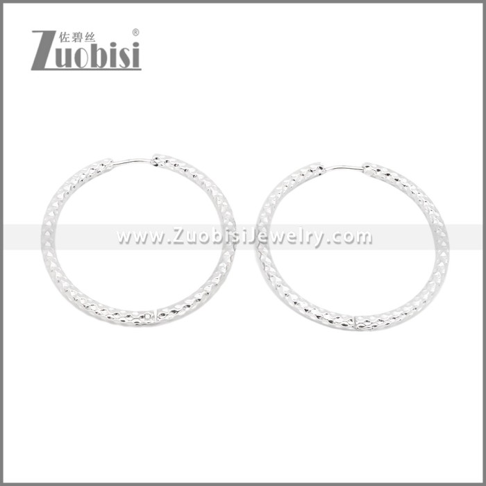 Stainless Steel Earrings e002386S