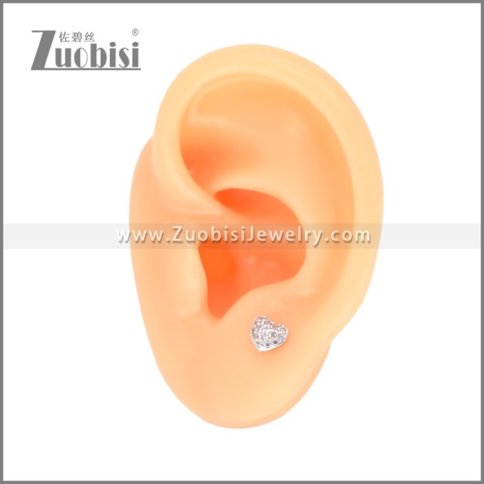 Stainless Steel Earrings e002394R