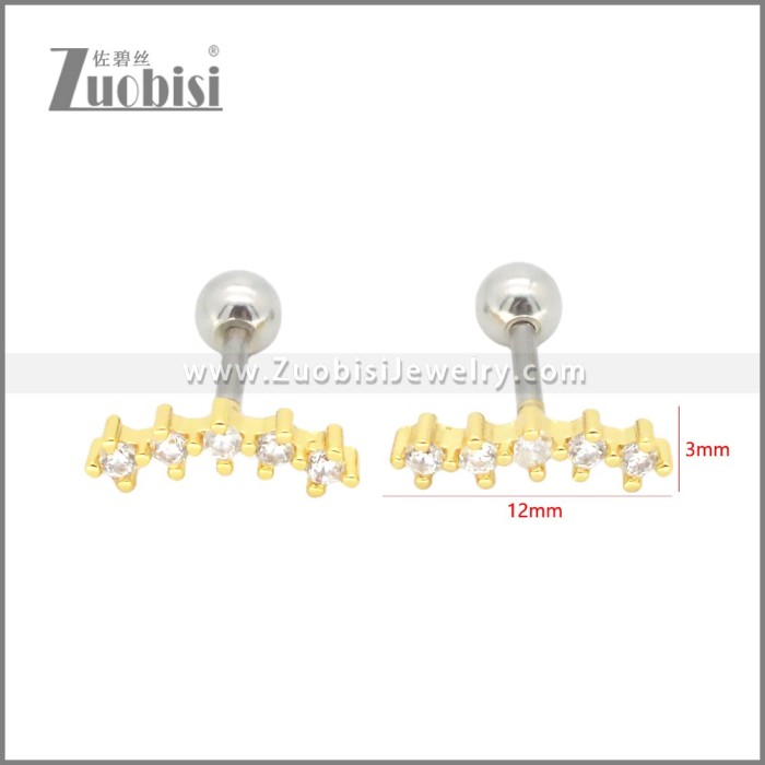 Stainless Steel Earrings e002409G