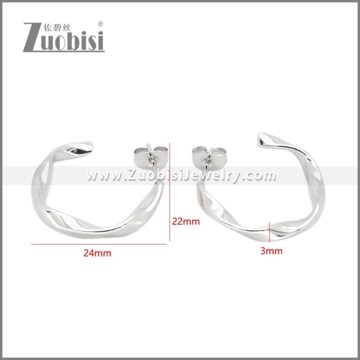 Stainless Steel Earrings e002381S