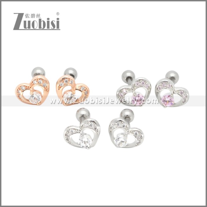 Stainless Steel Earrings e002406R