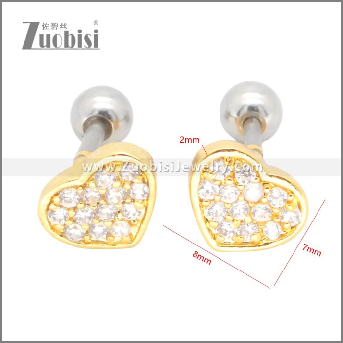Stainless Steel Earrings e002398G