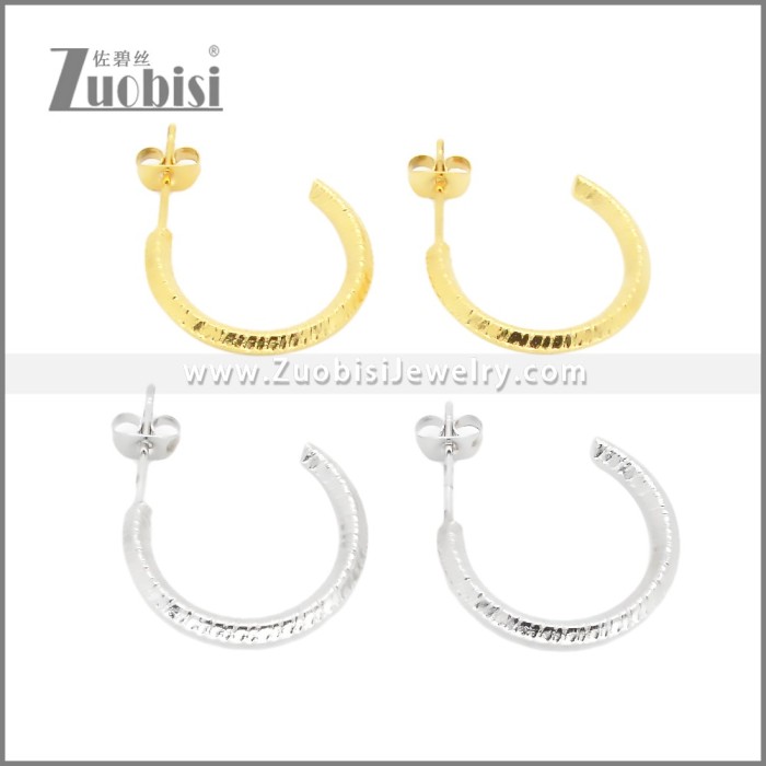 Stainless Steel Earrings e002382S