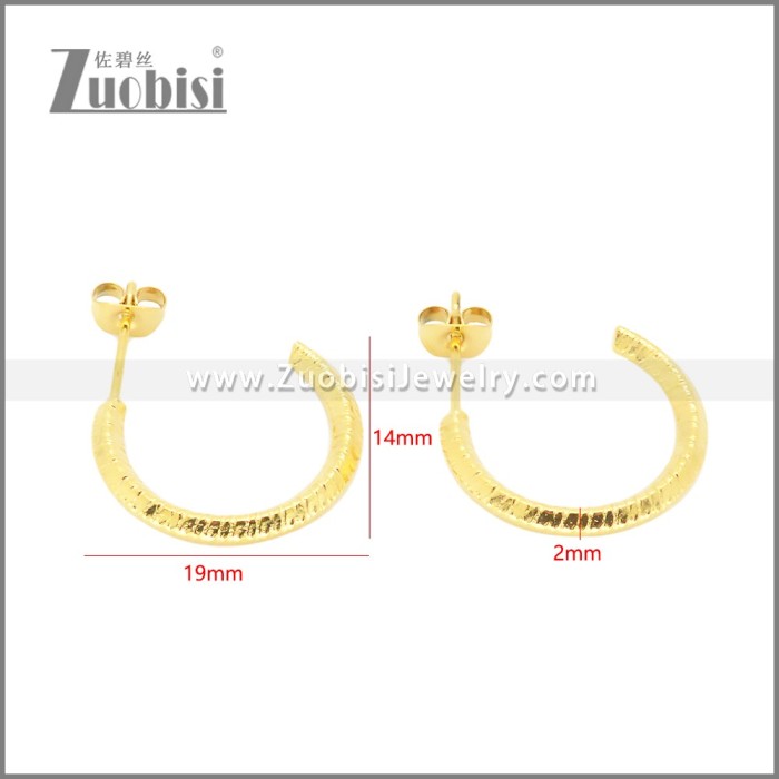 Stainless Steel Earrings e002382G