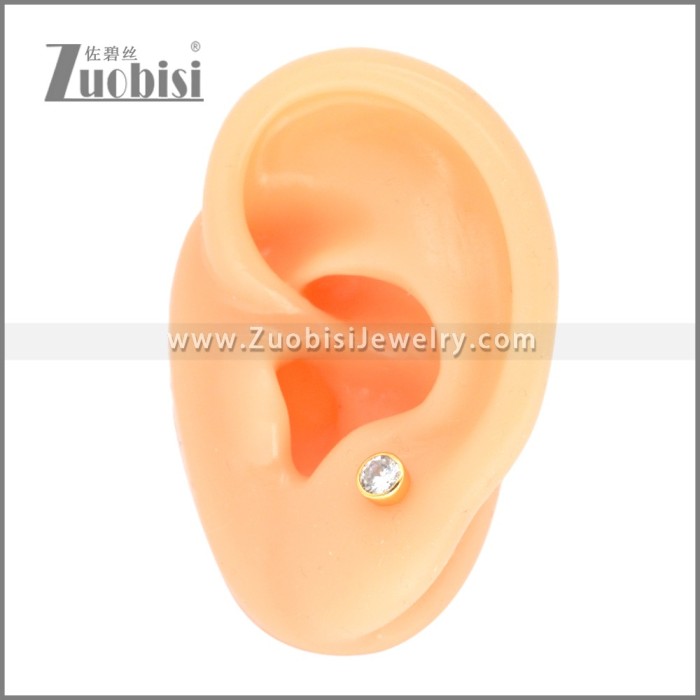 Stainless Steel Earrings e002399G