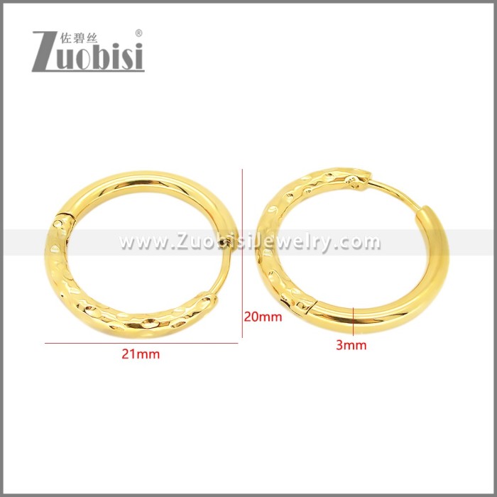 Stainless Steel Earrings e002378G