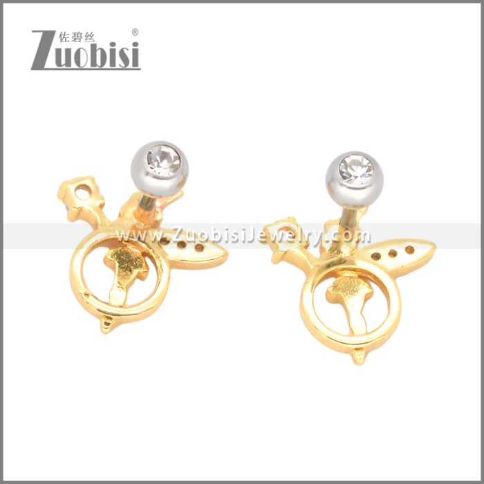 Stainless Steel Earrings e002397G