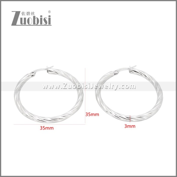Stainless Steel Earrings e002384S