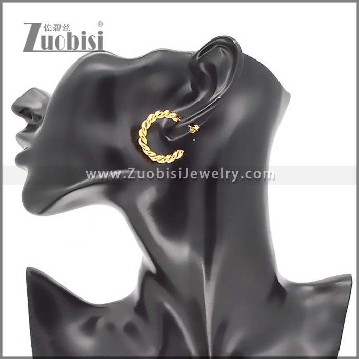 Stainless Steel Earrings e002373G