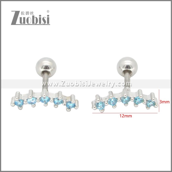 Stainless Steel Earrings e002407S3