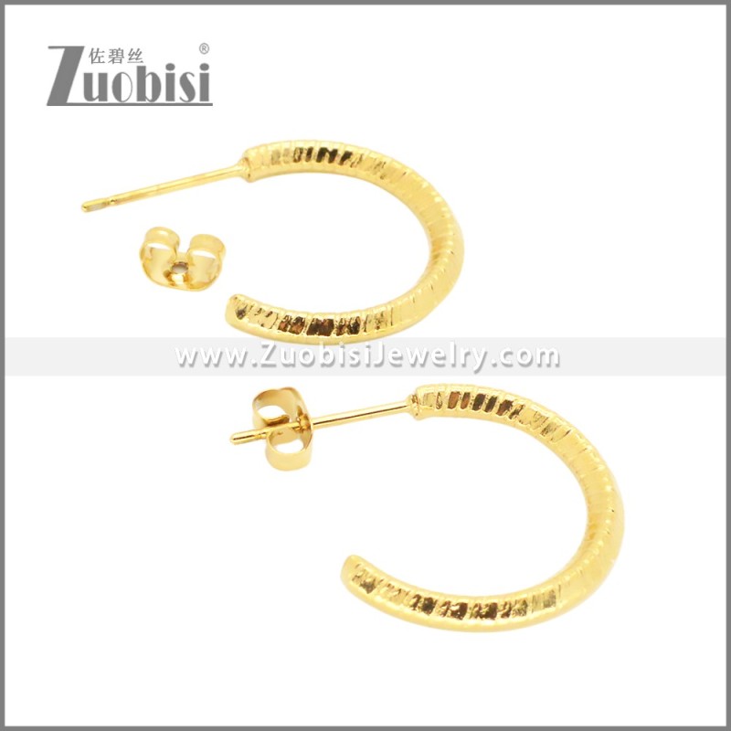 Stainless Steel Earrings e002382G