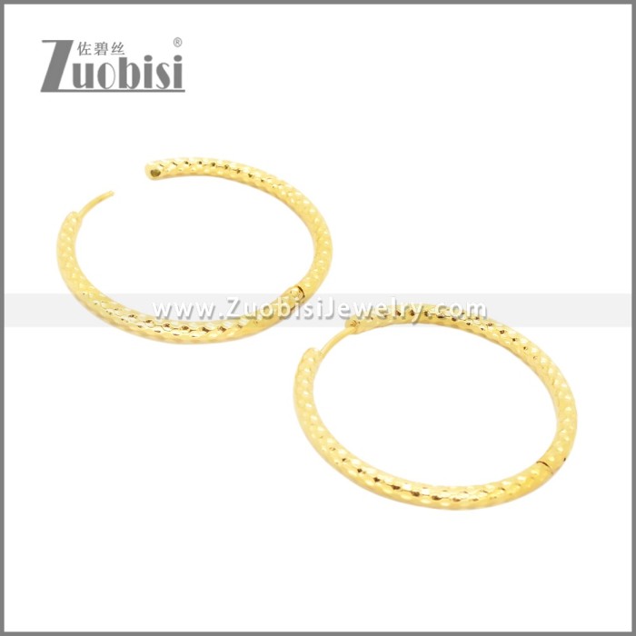 Stainless Steel Earrings e002386G