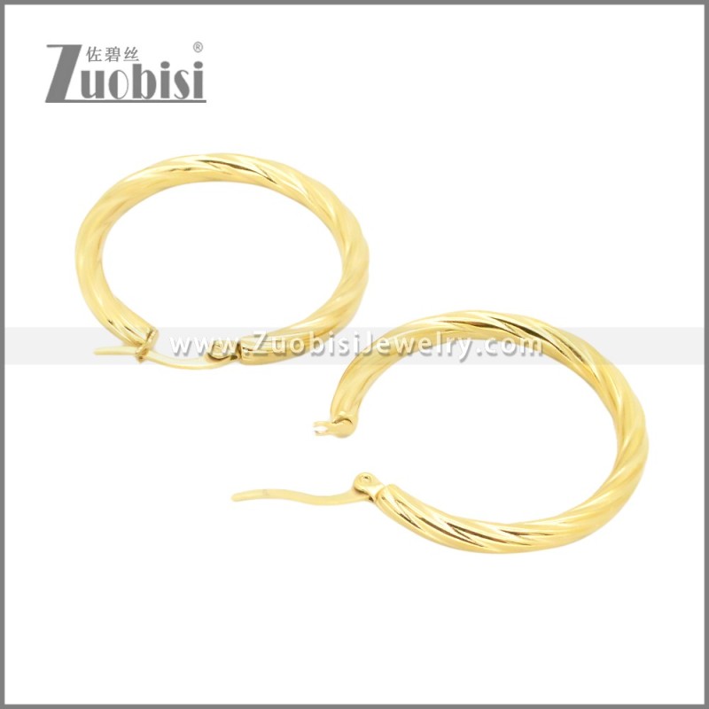Stainless Steel Earrings e002384G