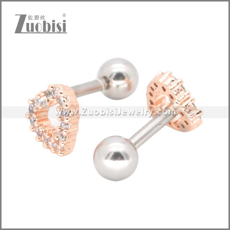 Stainless Steel Earrings e002396A