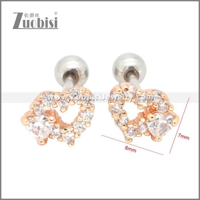 Stainless Steel Earrings e002413A
