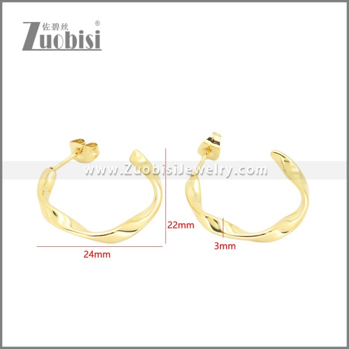 Stainless Steel Earrings e002381G