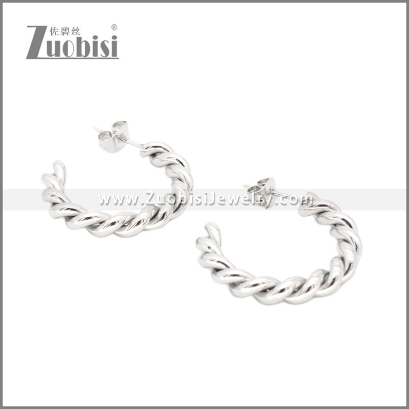 Stainless Steel Earrings e002373S
