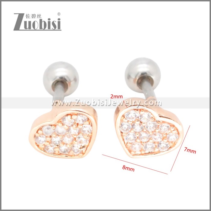 Stainless Steel Earrings e002398A