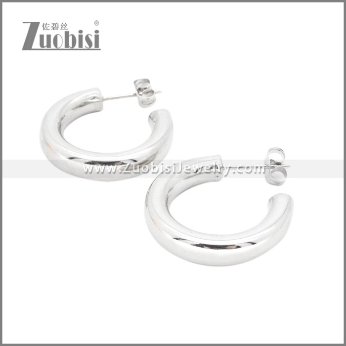 Stainless Steel Earrings e002380