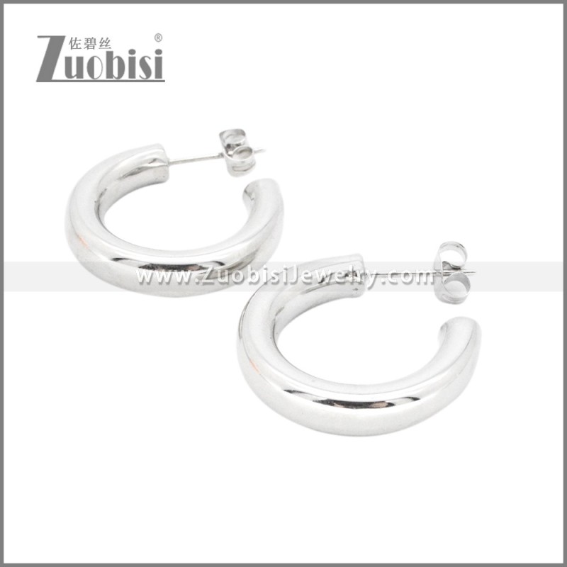 Stainless Steel Earrings e002380