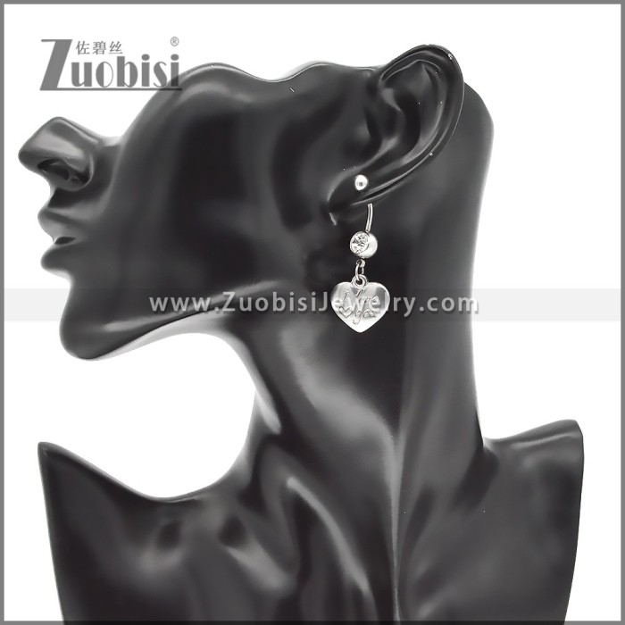 Stainless Steel Earrings e002432