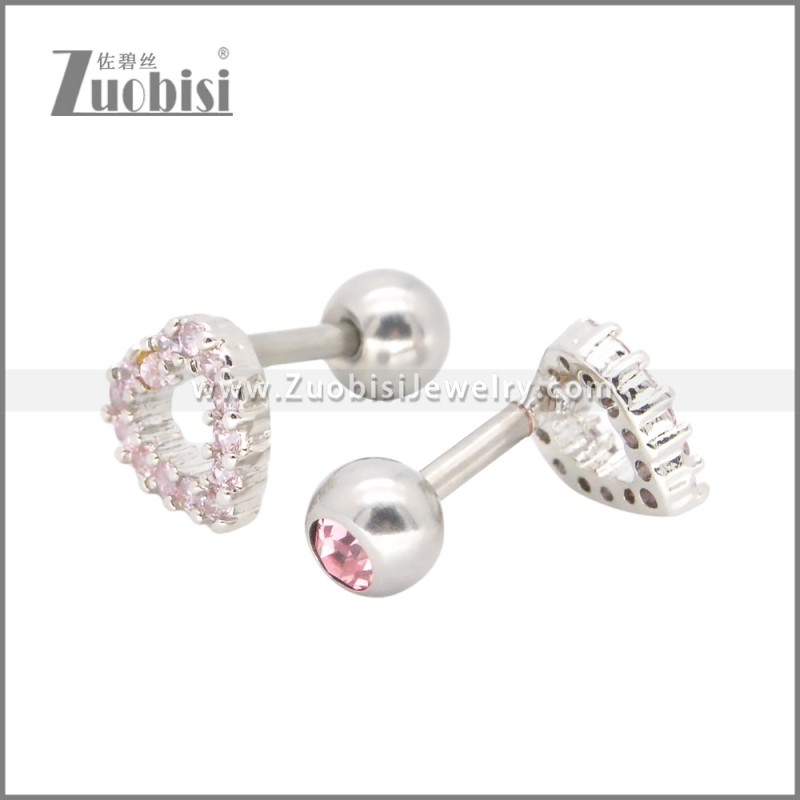 Stainless Steel Earrings e002396R