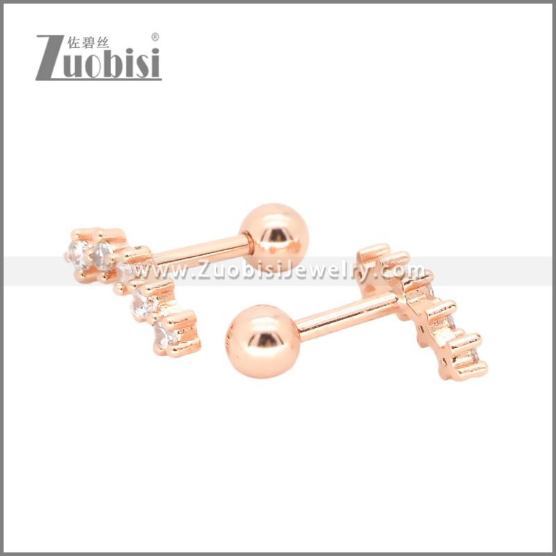 Stainless Steel Earrings e002409A