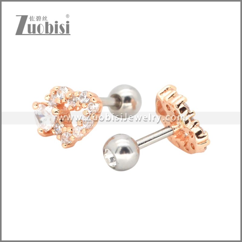 Stainless Steel Earrings e002413A