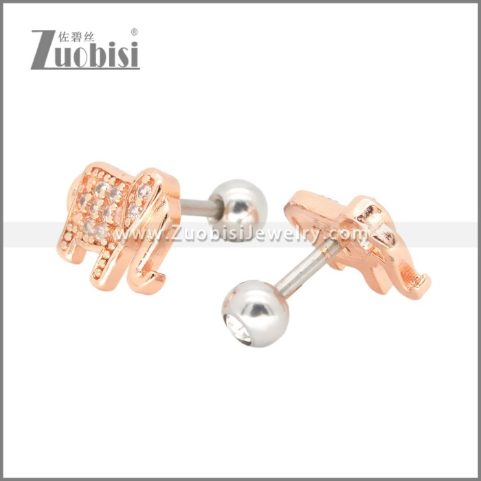 Stainless Steel Earrings e002400A
