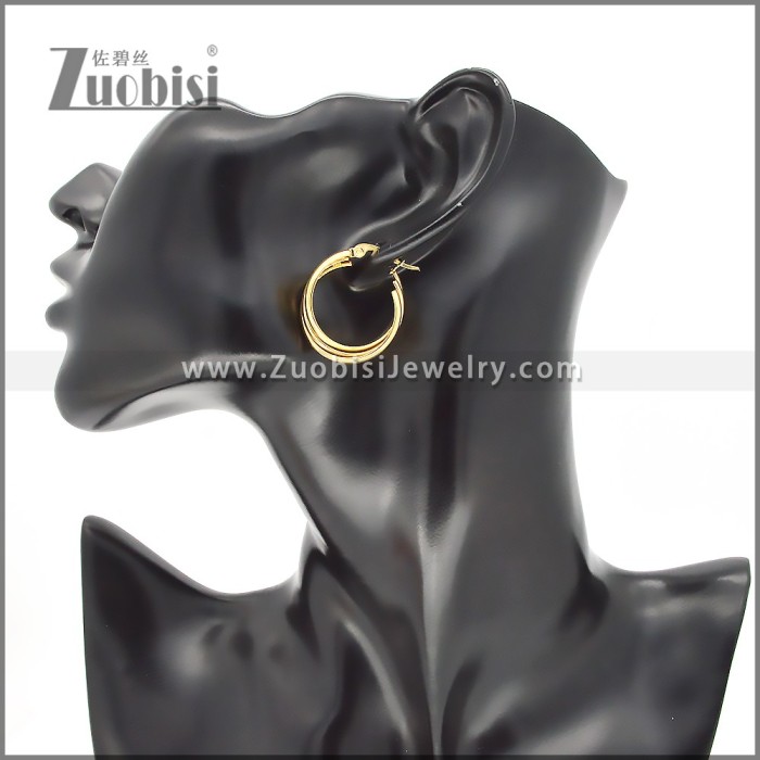 Stainless Steel Earrings e002379G