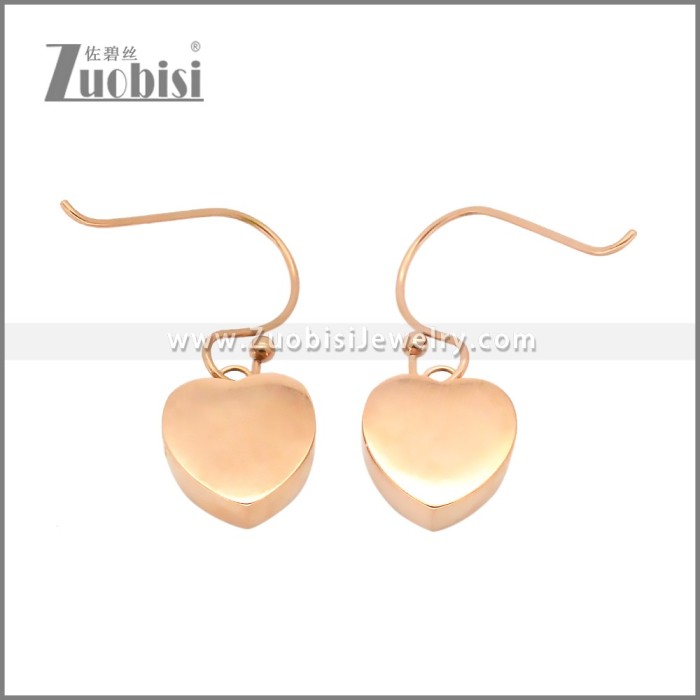 Stainless Steel Earrings e002435R